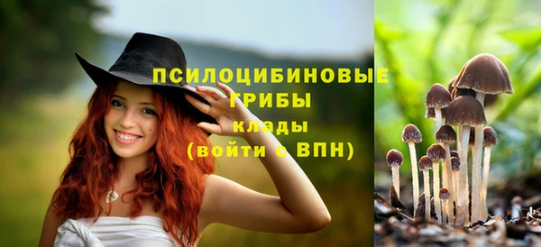 ГАЛЛЮЦИНОГЕННЫЕ ГРИБЫ Богородицк