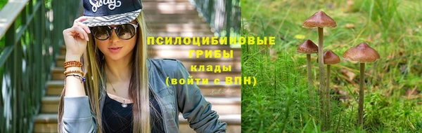 экстази Богданович