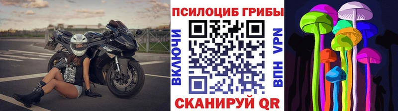 Галлюциногенные грибы ЛСД  ссылка на мегу как войти  Большой Камень 